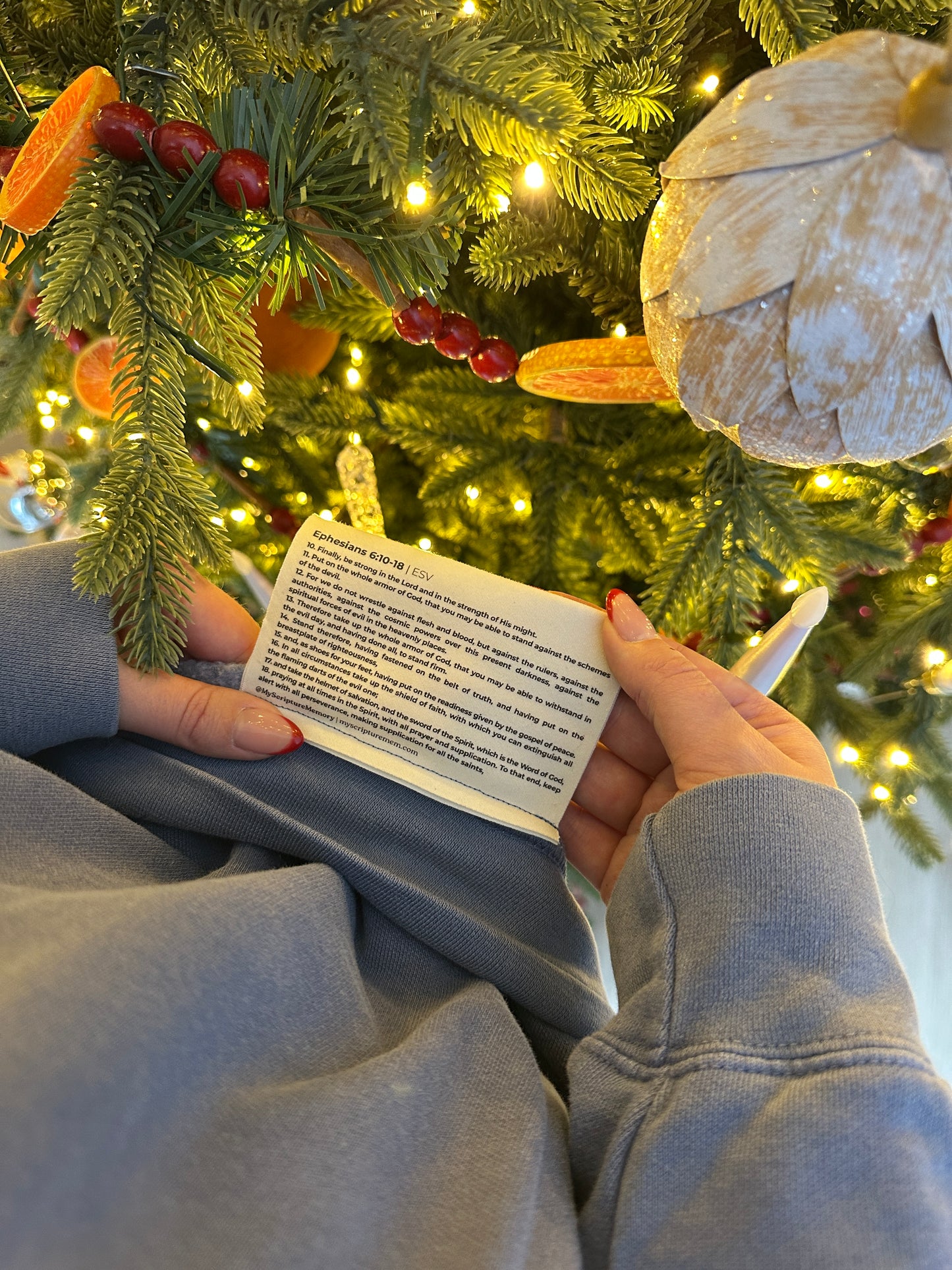 Whole Armor of God Crewneck Sweater — Ephesians 6:10-18